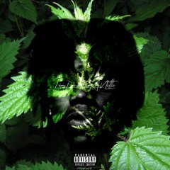 Sting A Nettle (Prod. by HighLifeBeats)