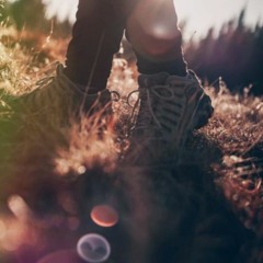 Você, O Milagre Andante - Portuguese