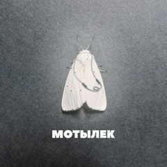 Мотылек