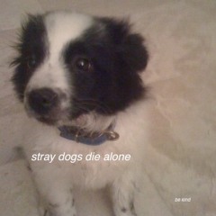 straydogsdiealone