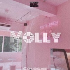 Molly (Playboicarti Remix)