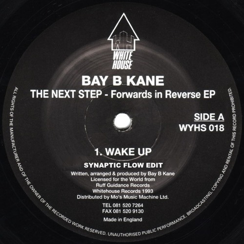 Bay B Kane - Wake Up - Synaptic Flow Edit