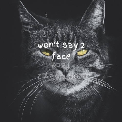 Won't Say 2 Face (Feat. Talakai)