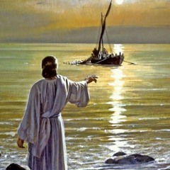 هارمى شباكى