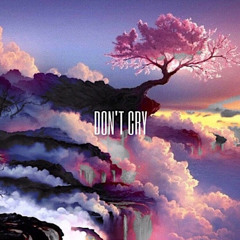Don't Cry (feat. SuperDuperWavey, Cortez & NVRMNDFRVR)[prod. whereareyouian]