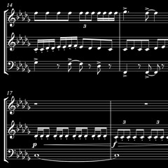 Woodwind Trio for Flute, Clarinet, and Bassoon (Score Video in Description)