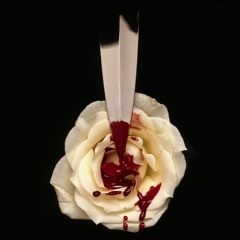 Octane (feat. SLPWLK)