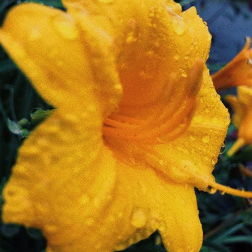 Song that you listen to when your procrastinating