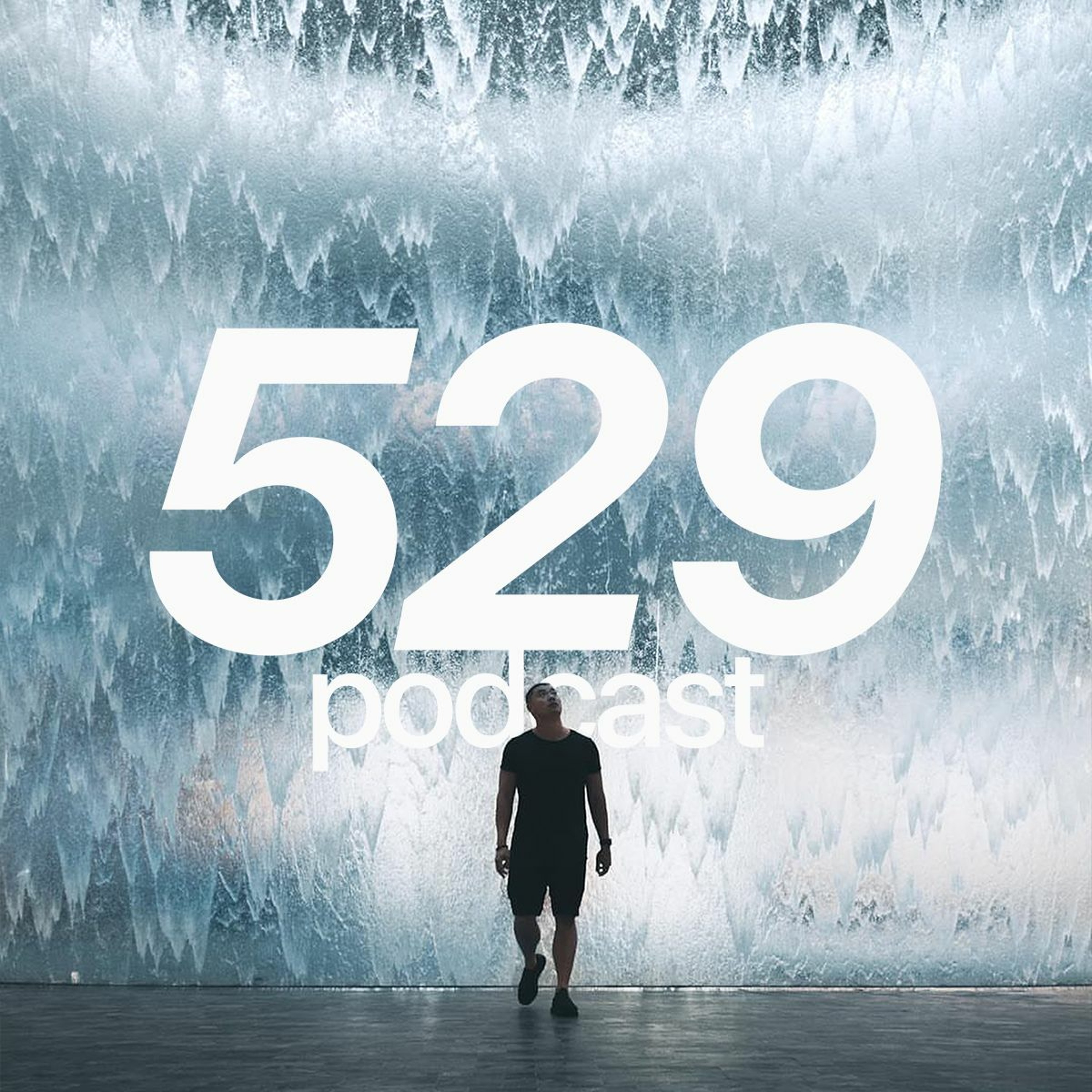 529 Podcast