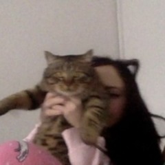 soft kitty, warm kitty