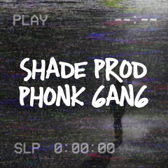 Phonk gang (Clear beat #9)