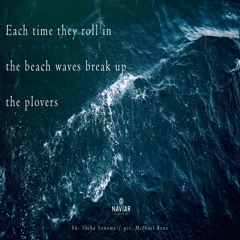 halF ploveR [naviarhaiku293]