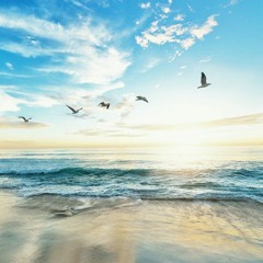 朝の海