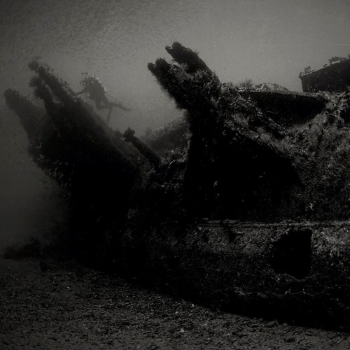Periskop - Whelm