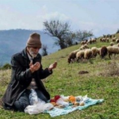 شكر نعمت نعمتت افزون كند ، كفر نعمت از كفت بيرون كند