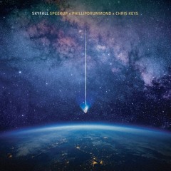 Skyfall (feat Speekup Chris Keys)