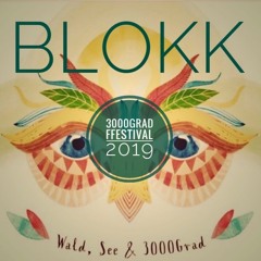 BL0KK at 3000Grad Festival 2019