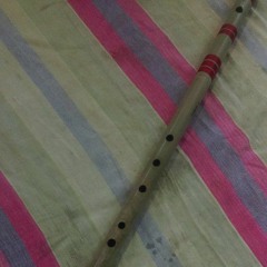 Raag - Hansadhwani (Short Alap & Gaat in Teen Taal)