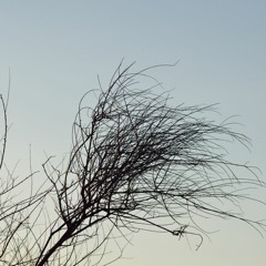 Toru Takemitsu - And then I knew t'was Wind