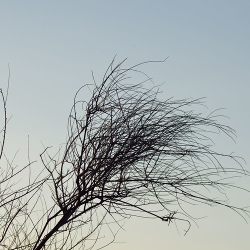 Toru Takemitsu - And then I knew t'was Wind