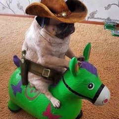 Pug Riding On A Horse