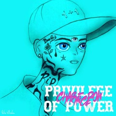 CHASE DOW PRINCE - PRIVILEGE OF POWER