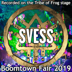 Svess - Recorded on Tribe of Frog stage at Boomtown 2019