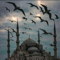 فَسَتَذْكُرُونَ مَا أَقُولُ لَكُمْ ۚ وَأُفَوِّضُ أَمْرِي إِلَى اللَّهِ ۚ إِنَّ اللَّهَ بَصِيرٌ بِالْعِبَادِ