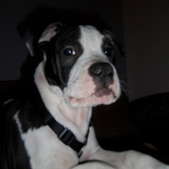 MeinFreund(RIP BabyBoy)