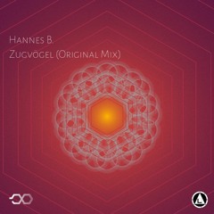 Hannes Hansen - Zugvögel (Original Mix) [dasMoment #011]