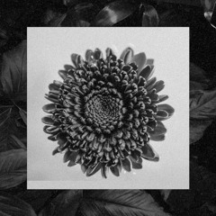 SOLAR ECLIPSE | Deep Melodic Trap Beat | Dark Epic Piano Type Hiphop Rap Instrumental