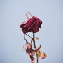 VAGUE | Emotional Deep Melodic 6lack Type Beat | Sad Piano Hiphop RnB Trap Instrumental