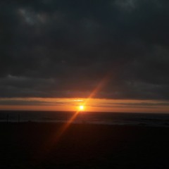 The Experimental Vol.II