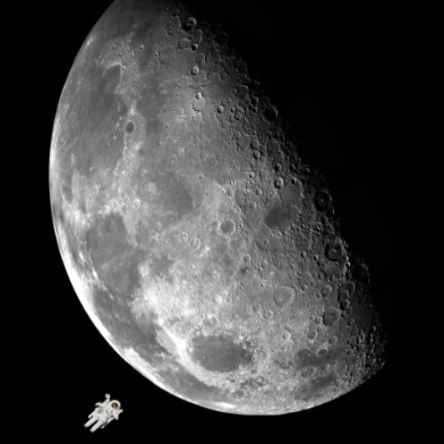 Apollo - Bippity