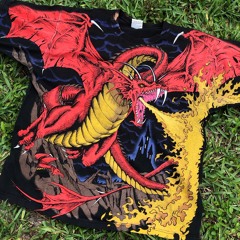 Fame Boy - Shy Acid Mix