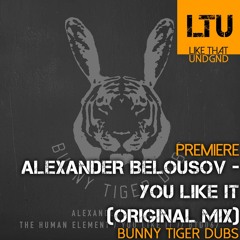 Premiere: Alexander Belousov - You Like It (Original Mix) | Bunny Tiger Dubs