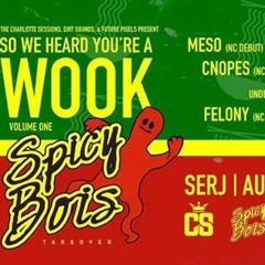 So We Heard You're A Wook - Spicy Bois CLT
