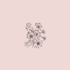 You Will Fade - Sonata Kay