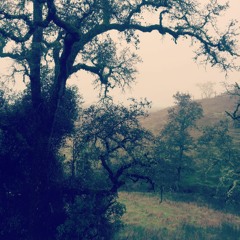 Stranger Than Fiction