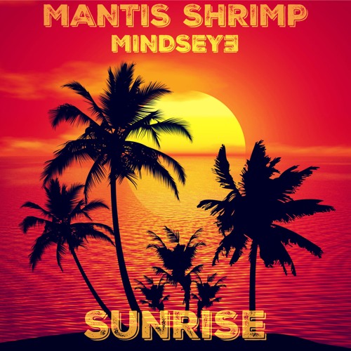 Sunrise 2010