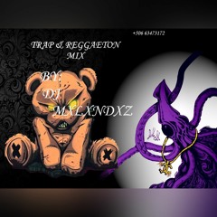 Trap & Reggaeton MIX By: DJ Mxlxndxz