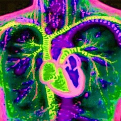 Sasori Scorpion(secret no premotion) (OUT EVERYWHERE)