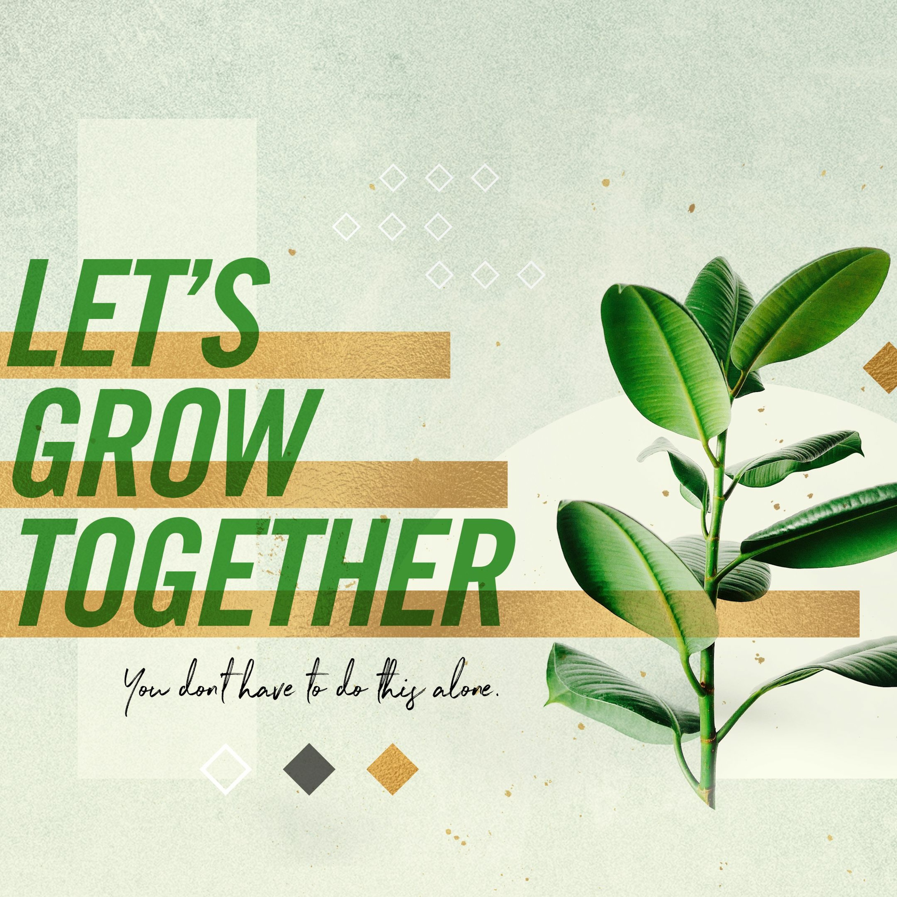 Let's Grow Together pt 2