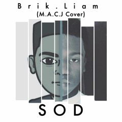 Some Other Dude - Brik.Liam (M.A.C.J Cover)