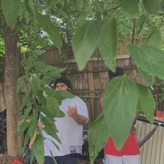 Brains (Prod @zandauchiha)