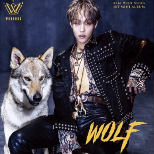 WOOSUNG - WOLF