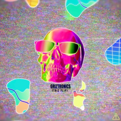 GRiZ x SUBTRONICS - GRIZTRONICS (TRIZ FLIP)