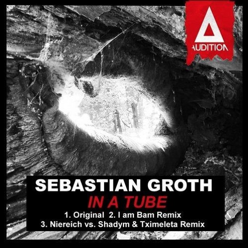 Sebastian Groth - In A Tube (Niereich Vs Shadym & Tximeleta Remix)