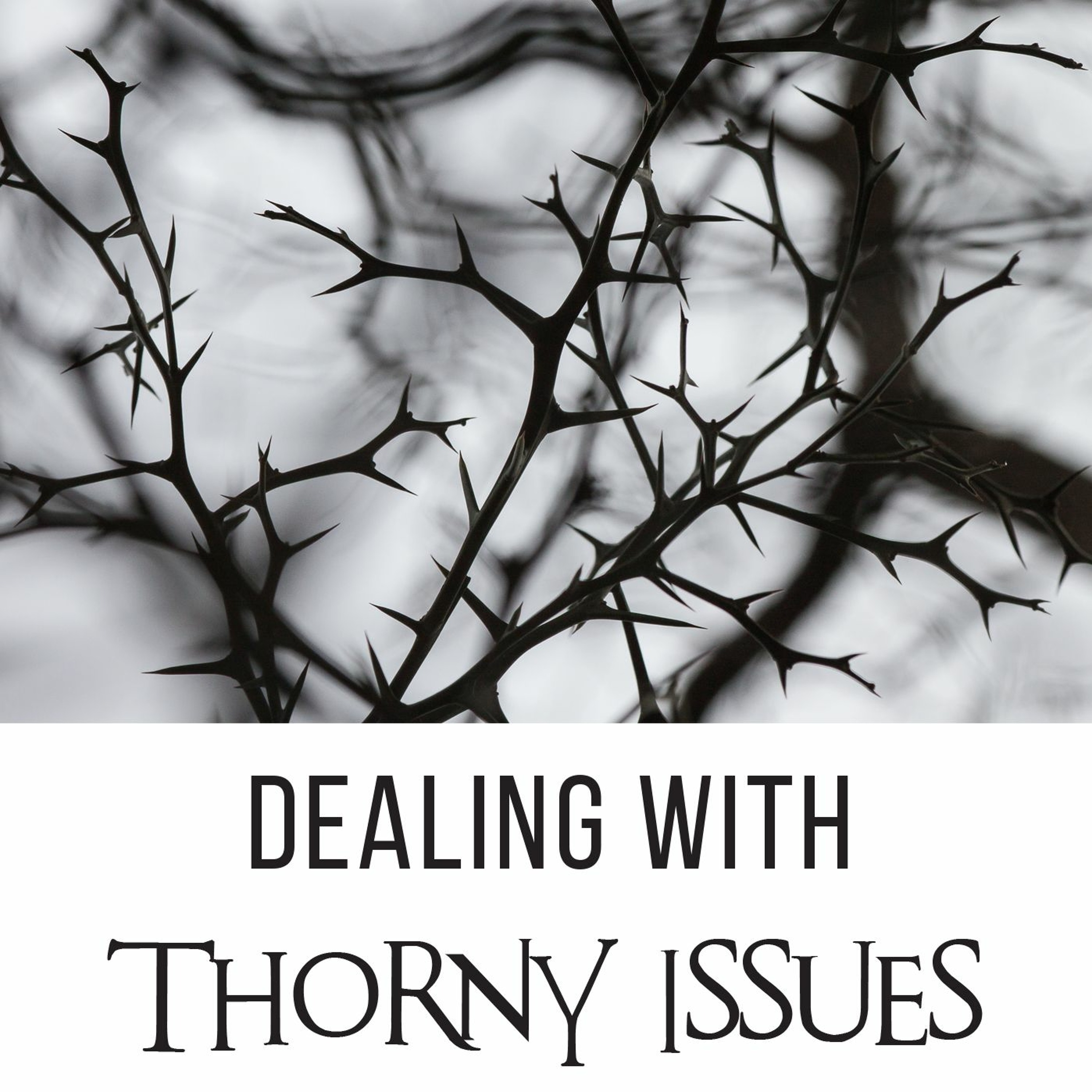 Dealing with Thorny Issues episode artwork