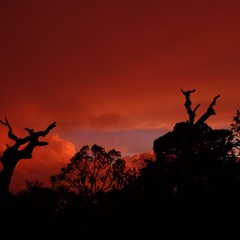 The Hand That Drives The Night Sky